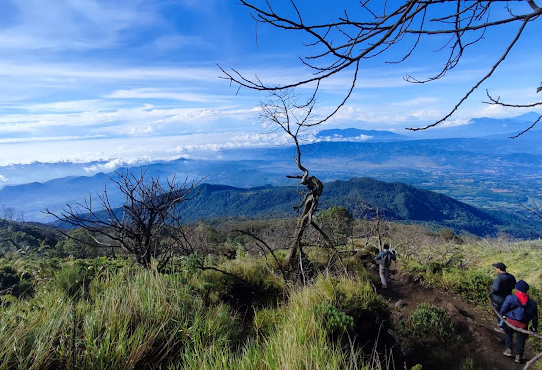 4 Wisata Kawasan Taman Nasional di Jawa Barat yang Wajib Dikunjungi, Surga bagi Pecinta Alam dan Petualangan