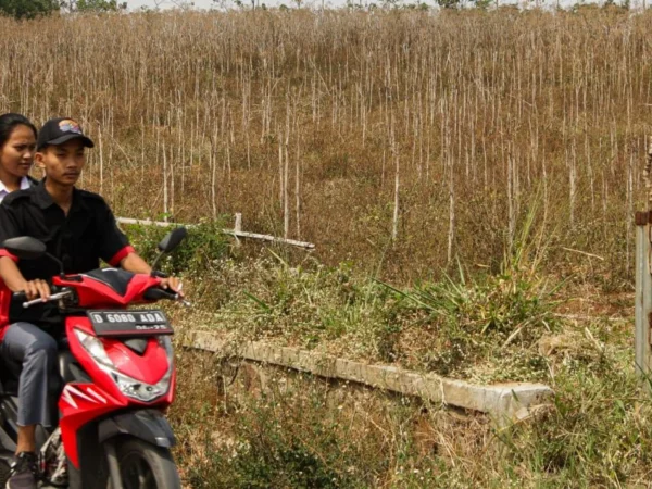 Ilustrasi: Seorang pria tengah mengendarai sepeda motor berboncengan melintasi lahan kering karena musim kemarau. (Dok: Jabar Ekspres)