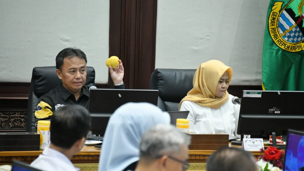 Sekda Jabar Herman Suryatman memperlihatkan mangga gedong gincu yang rencanaka akan diekspor pedana ke Jepang, saat rapat finalisasi di Ruang Rapat Papandayan, Gedung Sate, Kota Bandung, Kamis (15/8/2024).