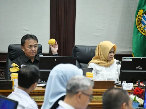 Sekda Jabar Herman Suryatman memperlihatkan mangga gedong gincu yang rencanaka akan diekspor pedana ke Jepang, saat rapat finalisasi di Ruang Rapat Papandayan, Gedung Sate, Kota Bandung, Kamis (15/8/2024).