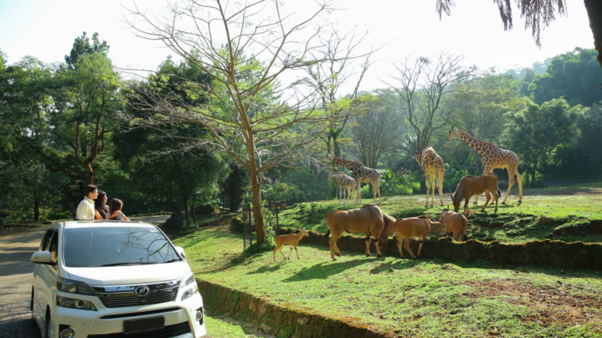 Tiket masuk Taman Safari Bogor. (foto/Taman Safari Bogor)