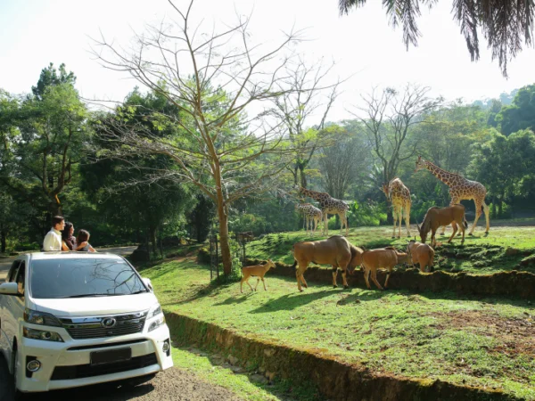 Tiket masuk Taman Safari Bogor. (foto/Taman Safari Bogor)