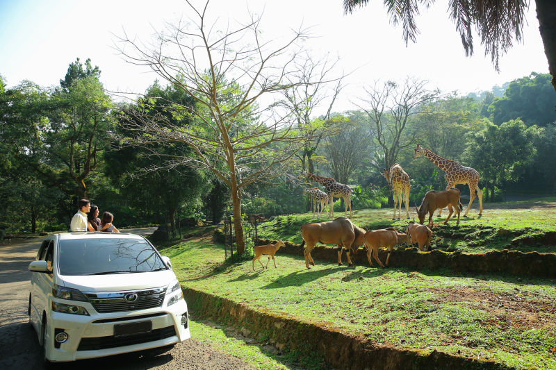 Tiket masuk Taman Safari Bogor. (foto/Taman Safari Bogor)