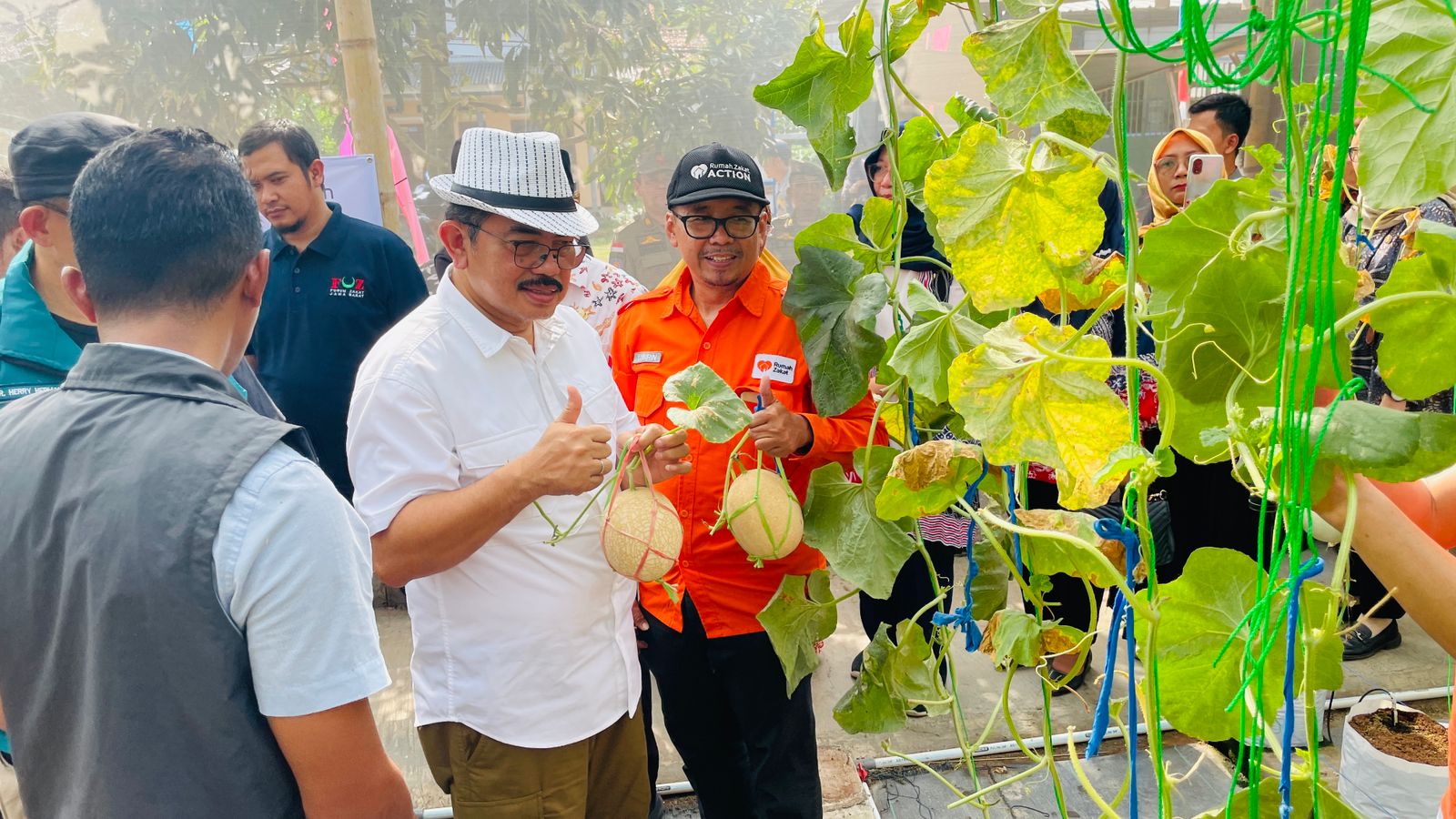 Pj Bupati Ciamis Engkus Sutisna saat meninjau pertanian melon di Lakbok Ciamis, Kamis 1 Agustus 2024. (Cecep Herdi/Jabar Ekspres)