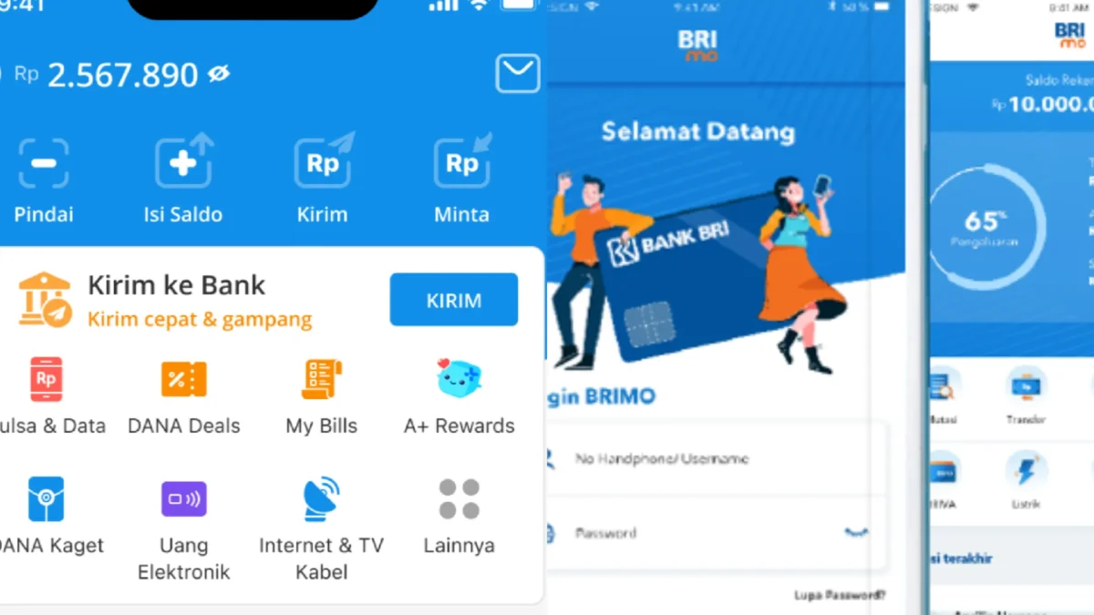 Kolase Aplikasi DANA dan BRImo/ dana.id dan bri.co.id