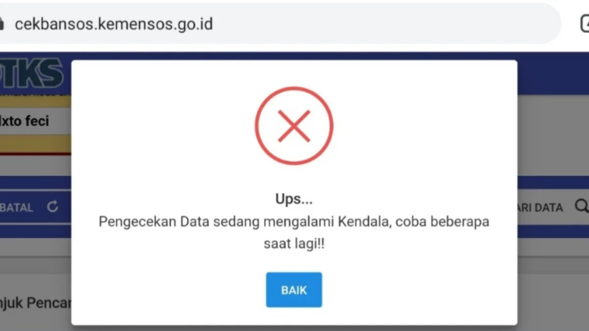 Cek Bansos Error? Dana BPNT Tahap 4 Rp 400 Ribu Belum Jelas Kapan Cair