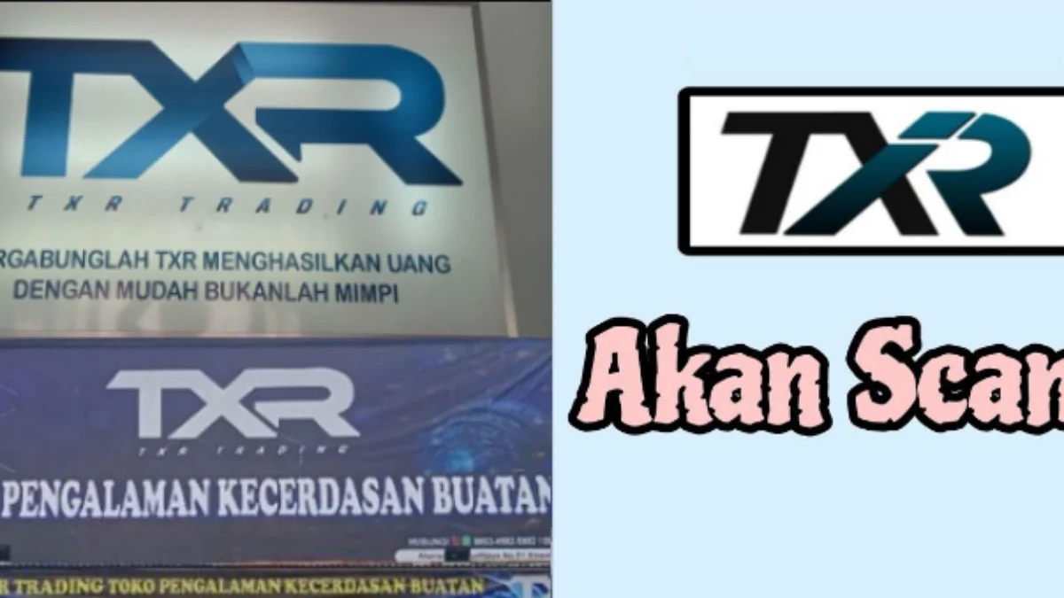 Bagaimana Cara Kerja Aplikasi TXR Trading, Apa Benar Investasi Bodong?