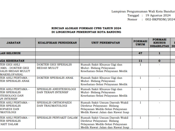 Formasi CPNS Kota Bandung 2024/ Tangkap Layar bkpsdm.bandung.go.id