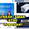 Inilah Alasan Mengapa Aplikasi Terawulf Masih Beroprasi Padahal Terbukti Scam Penipuan