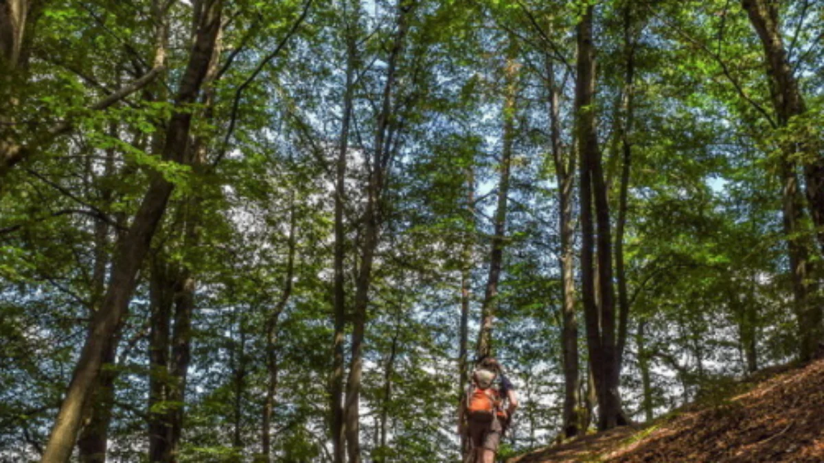 7 Tempat Hiking Terpopuler di Bandung yang Wajib Dikunjungi Sambil Wisata Olahraga untuk Wisatawan