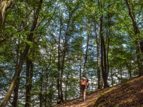 7 Tempat Hiking Terpopuler di Bandung yang Wajib Dikunjungi Sambil Wisata Olahraga untuk Wisatawan