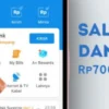 Inilah Jenis KTP yang Berhak Mendapatkan Saldo DANA Gratis Rp 700 Ribu dari Pemerintah