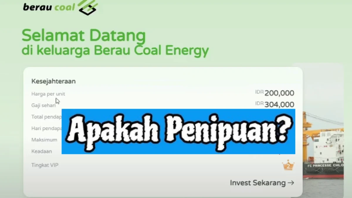 Apa Benar Aplikasi Berau Coal Terbukti Investasi Bodong? Cek Faktanya