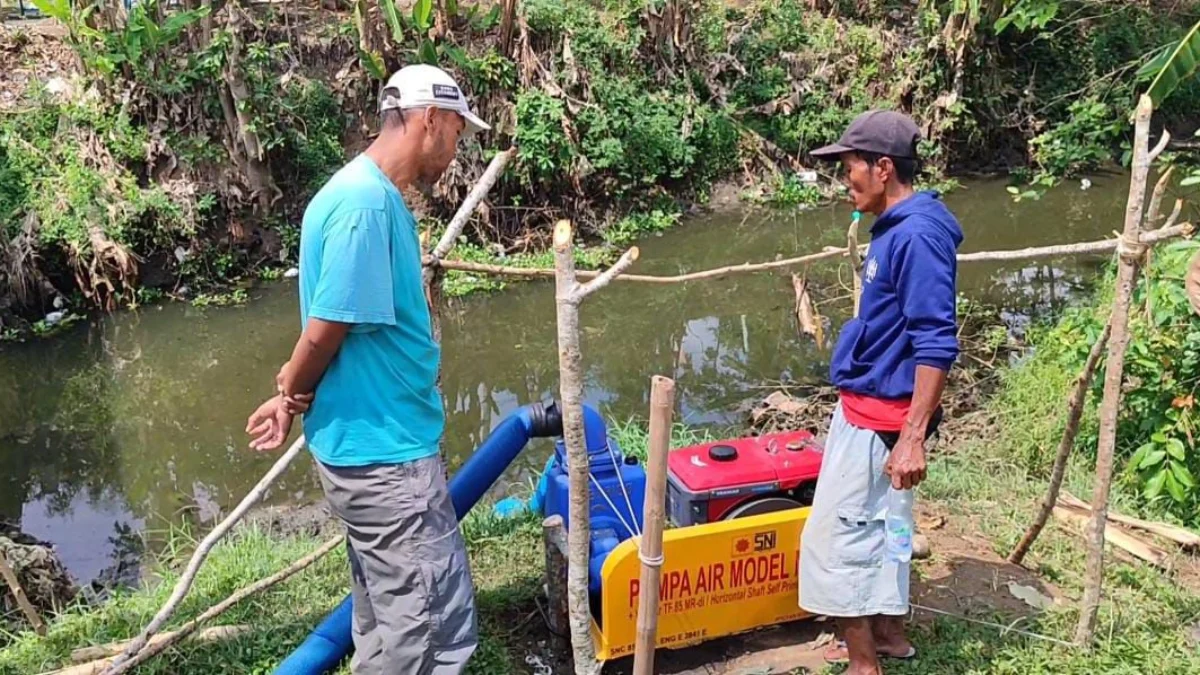 Petani berupaya menyedot air sungai menggunakan pompa air dari Sungai Ciganjeng Kabupaten Pangandaran untuk mengairi sawah mereka yang teranvam gagal panen akibat kekeringan, Selasa 13 Agustus 2024. (Cecep Herdi/Jabar Ekspres)