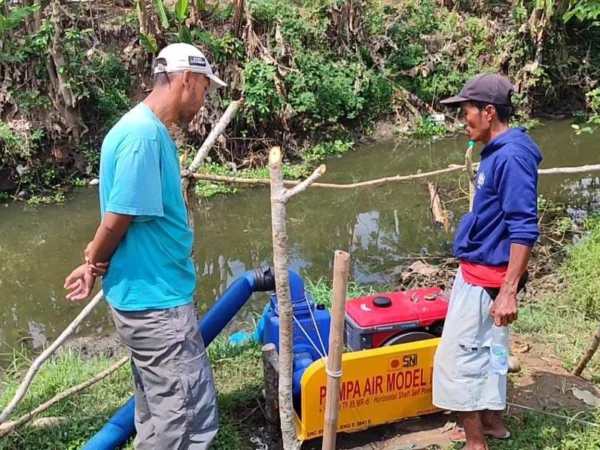 Petani berupaya menyedot air sungai menggunakan pompa air dari Sungai Ciganjeng Kabupaten Pangandaran untuk mengairi sawah mereka yang teranvam gagal panen akibat kekeringan, Selasa 13 Agustus 2024. (Cecep Herdi/Jabar Ekspres)