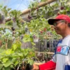 Himawan Lestoro, yang dikenal sebagai Abeh, adalah seorang sopir travel berusia 48 tahun berhasil mendirikan Soreang Grape Garden di Kampung Pasir Calung, Desa Panyirapan, Kecamatan Soreang, Kabupaten Bandung. Foto Agi Jabar Ekspres