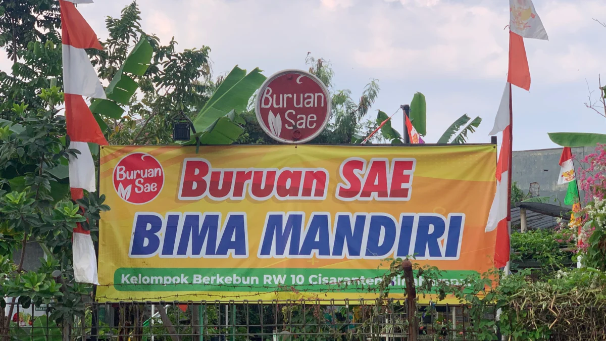 Potret Buruan Sae di Kecamatan Arcamanik, Kota Bandung. (Sadam Husen / JE)