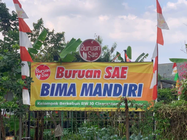 Potret Buruan Sae di Kecamatan Arcamanik, Kota Bandung. (Sadam Husen / JE)