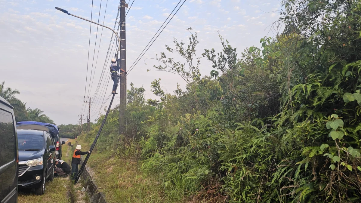 PLN Icon Plus dan Diskominfo Kota Bandung Kerja Sama untuk Memperindah Kota Serta Tingkatkan Kualitas Lingkungan