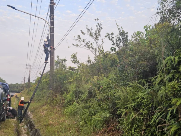 PLN Icon Plus dan Diskominfo Kota Bandung Kerja Sama untuk Memperindah Kota Serta Tingkatkan Kualitas Lingkungan