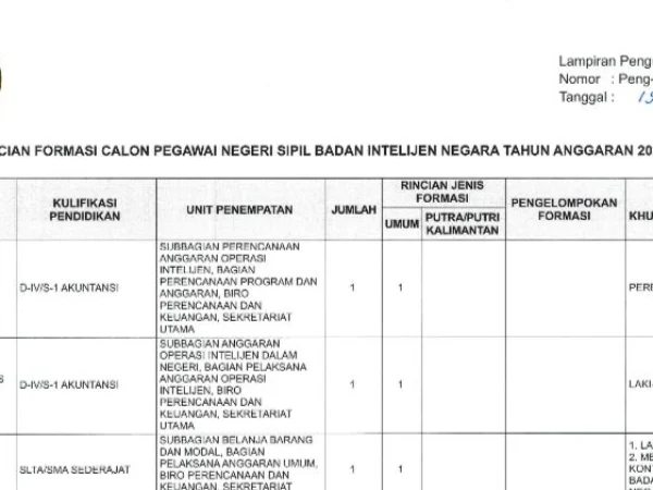 LINK PDF Formasi CPNS & Syarat Untuk Mendaftar Badan Intelijen Negara (BIN) 2024