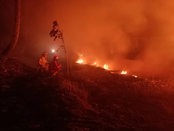 Petugas Damkar Bandung Barat saat memadamkan api yang membakar alang-alang di Cipatat, Bandung Barat. Rabu (28/8). Dok Damkar KBB