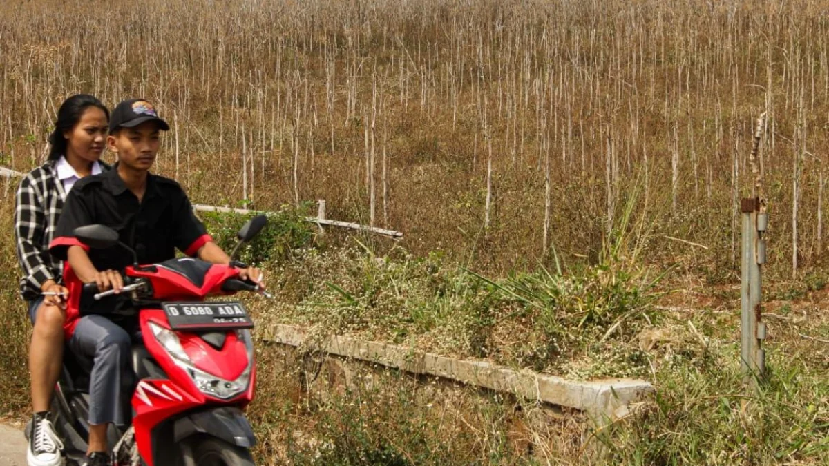 Ilustrasi: Seorang pria tengah mengendarai sepeda motor berboncengan melintasi lahan kering karena musim kemarau. (Dok:Jabar Ekspres)