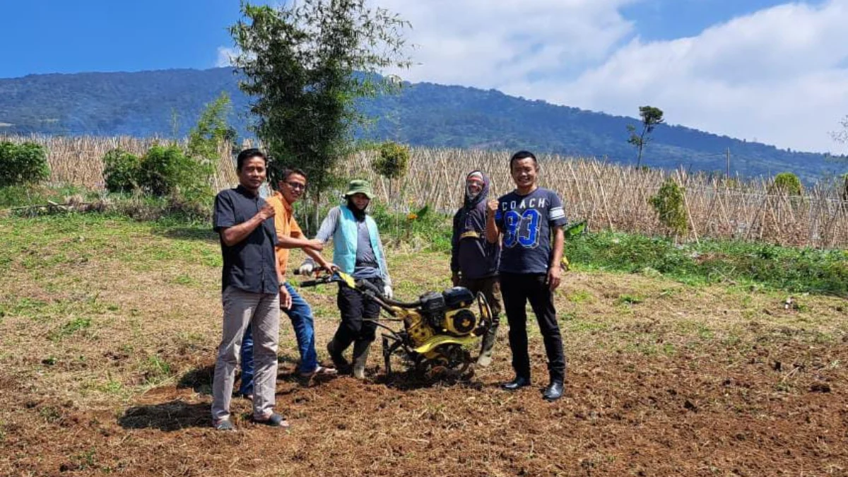 Lahan petani yang diserobot Okum aparat. Foto : Istimewa