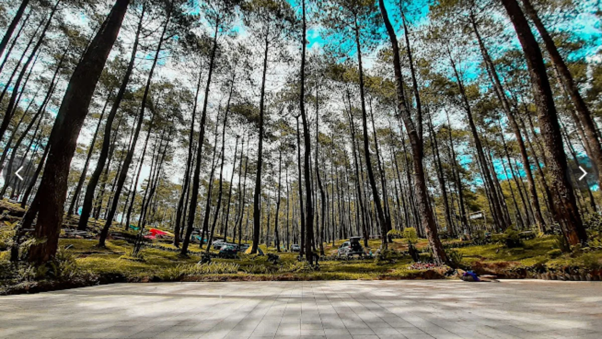 5 Tempat Camping Terbaik di Lembang yang Wajib Kamu Coba!