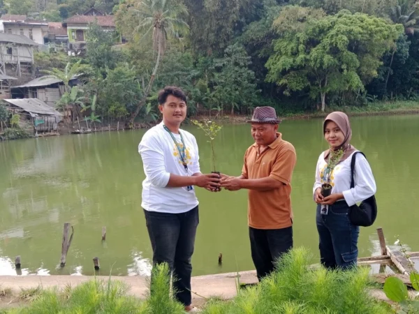 Mahasiswa KKN Tematik Universitas Majalengka saat mendistribusikan 4.000 bibit pohon ke Desa Sukasari Kidul dan Kelompok Tani.