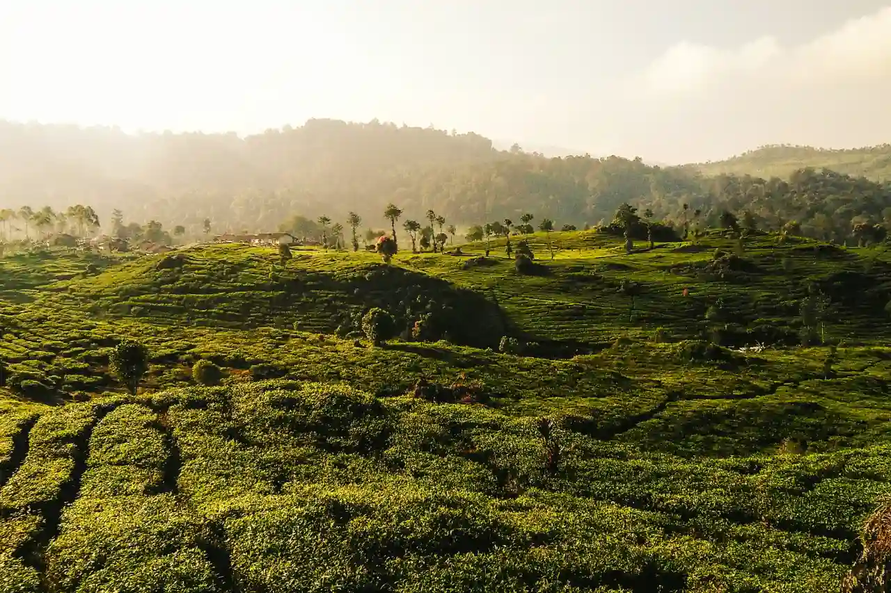 Rekomendasi 9 Destinasi Wisata Bandung Selatan Terbaru yang Wajib Dikunjungi di 2024