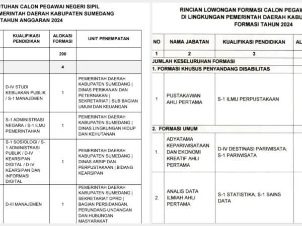 PDF Formasi CPNS 2024 di Kabupaten Sumedang dan Subang/ Kolase PDF Formasi CPNS 2024 Pemkab Sumedang dan Subang