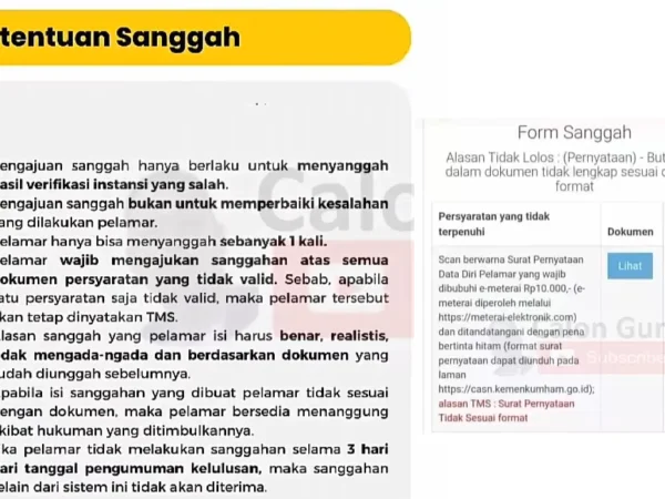 Cara Sanggah Administrasi Hasil Gagal Seleksi CPNS 2024