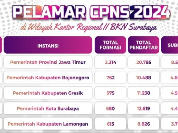 Data Statistik Sementara Pelamar CPNS 2024 di Jawa Timur/ Tangkap Layar Instagram @bkn2surabaya