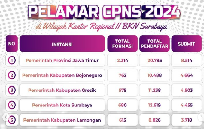 Data Statistik Sementara Pelamar CPNS 2024 di Jawa Timur/ Tangkap Layar Instagram @bkn2surabaya