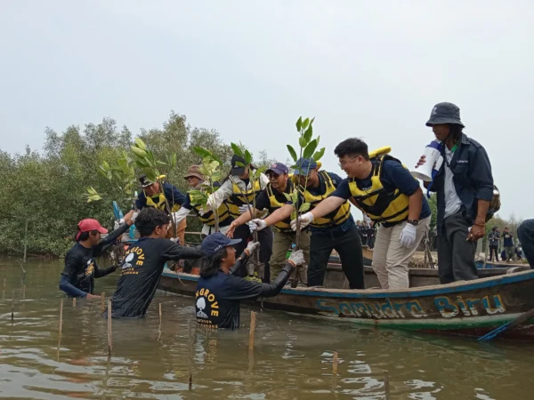 Penanaman 5.000 pohon mangrove untuk perlindungan dan kesehatan ekosistem pesisir di Muara Gembong, Senin 23 September 2024.