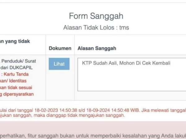 Form Sanggah CPNS 2024/ Tangkap Layar Buku Petunjuk Pendaftaran CASN 2024