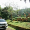 Taman Safari Bogor Rp140 Ribu/ Istimewa