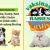 23 Lokasi Klinik Hewan di Bandung Layani Vaksinasi Rabies Gratis! Begini Daftarnya