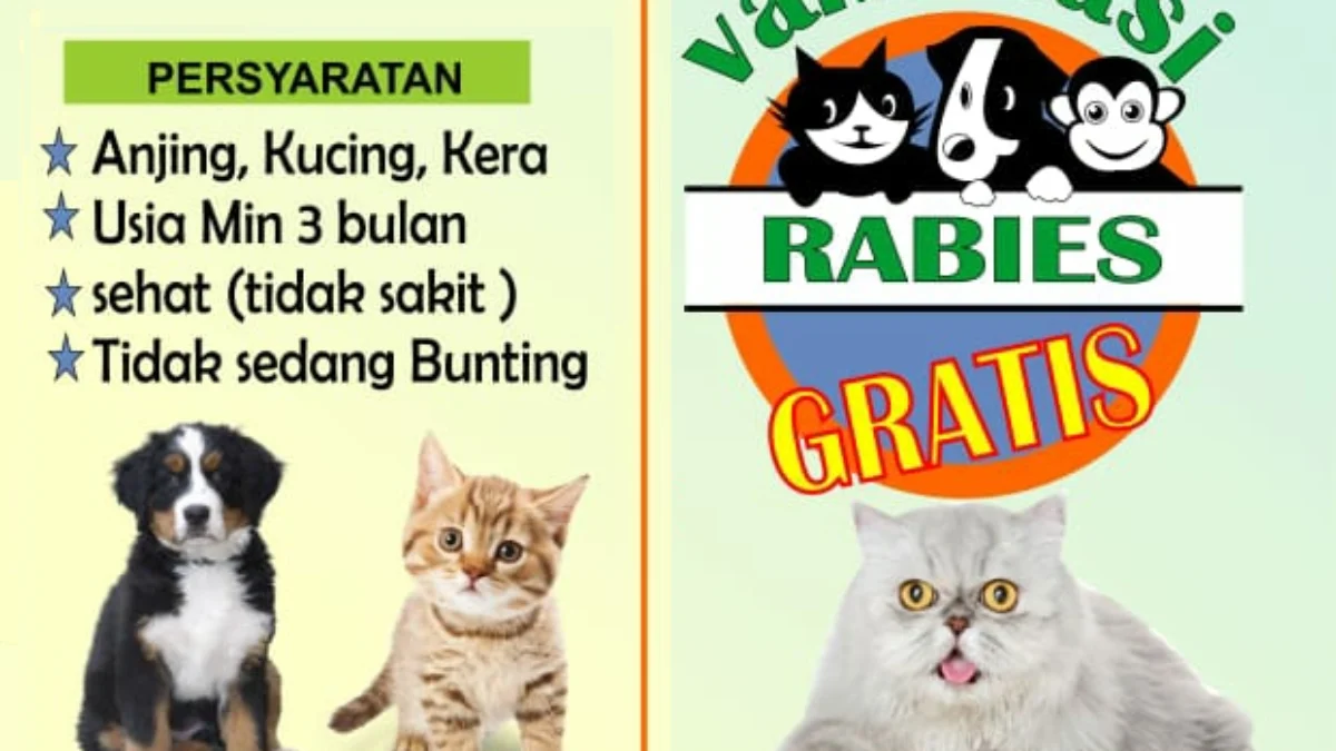 23 Lokasi Klinik Hewan di Bandung Layani Vaksinasi Rabies Gratis! Begini Daftarnya