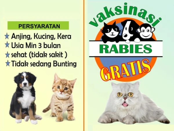 23 Lokasi Klinik Hewan di Bandung Layani Vaksinasi Rabies Gratis! Begini Daftarnya