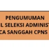 Cara Cek Pengumuman Hasil Sanggah Seleksi CPNS 2024