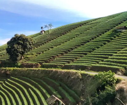 Rekomendasi 6 Destinasi Wisata Menyambut Libur Panjang Maulid Nabi di Majalengka