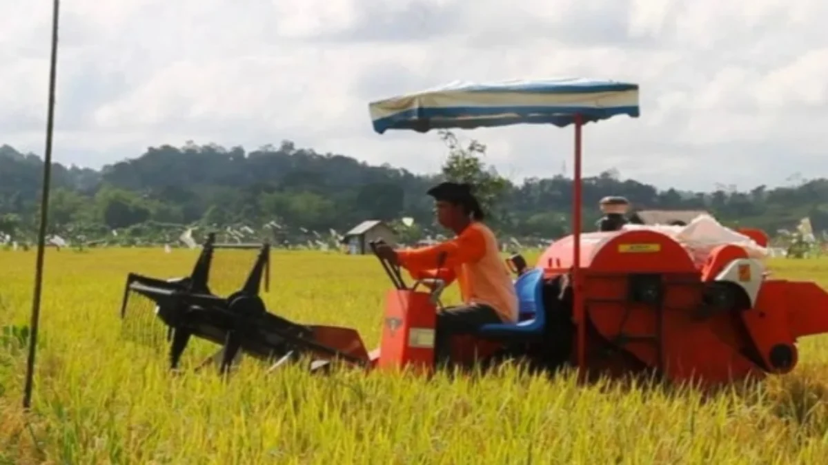 Salah satu lokasi perluasan lahan pertanian di Samarinda Kaltim. (foto/ANTARA)