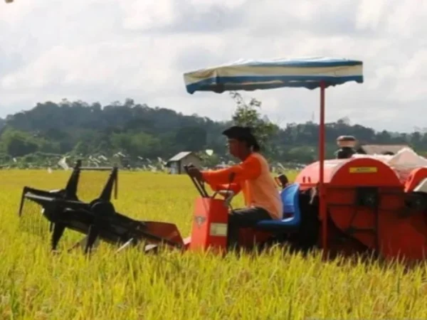 Salah satu lokasi perluasan lahan pertanian di Samarinda Kaltim. (foto/ANTARA)