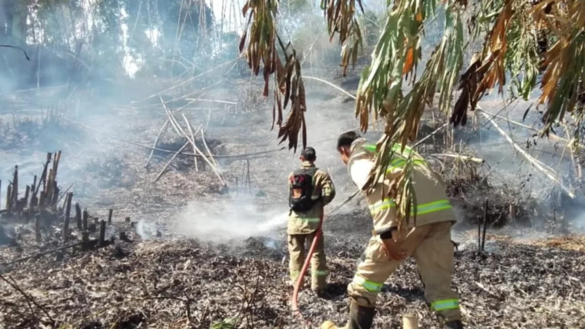 Ist. Kebakaran hutan dan lahan di Gunung Guntur Garut. Dok Istimewa