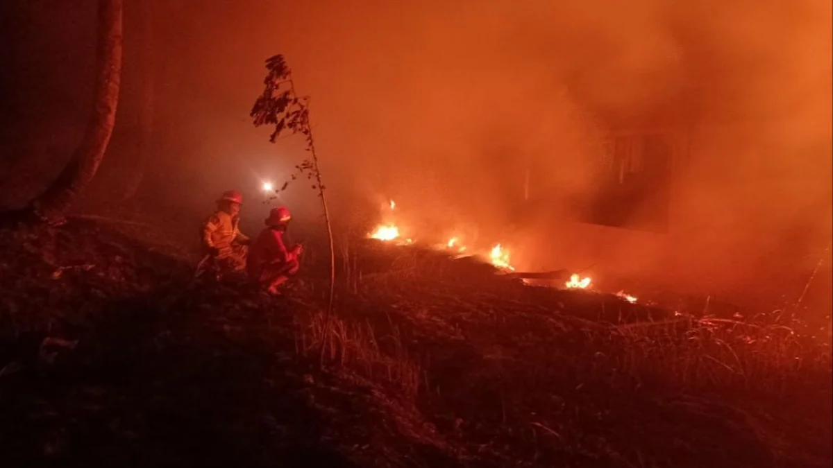 Petugas Damkar saat memadamkan api yang membakar alang-alang di wilayah Kecamatan Cipatat. Dok Damkar KBB