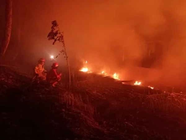 Petugas Damkar saat memadamkan api yang membakar alang-alang di wilayah Kecamatan Cipatat. Dok Damkar KBB