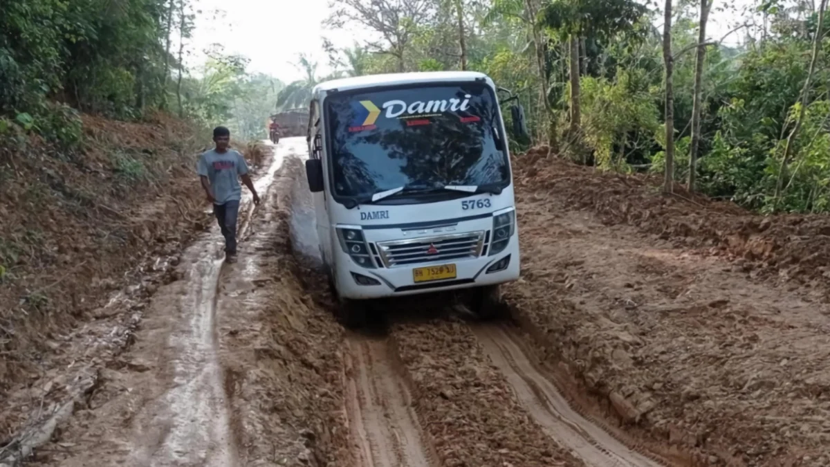 Pengamat Sebut Indonesia Darurat Transportasi Umum, Arah Kebijakan Rezim Masih Tertinggal dari Malaysia