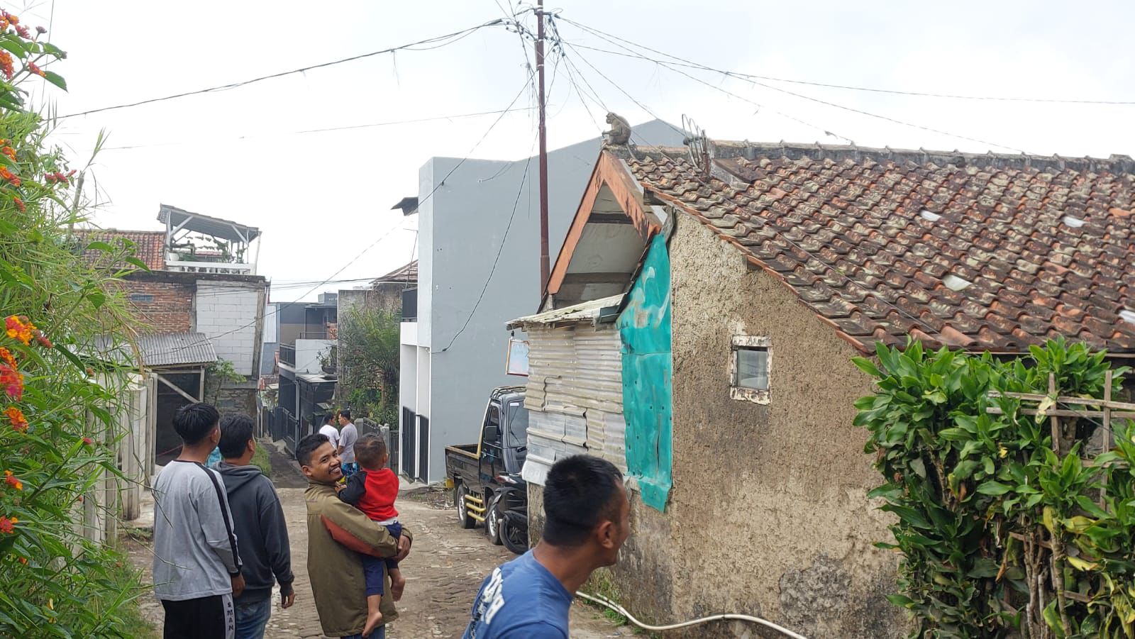 Warga Desa Langensari, Kecamatan Lembang, Bandung Barat terus mengintai keberadaan monyet ekor panjang. Selasa (10/9). Dok istimewa